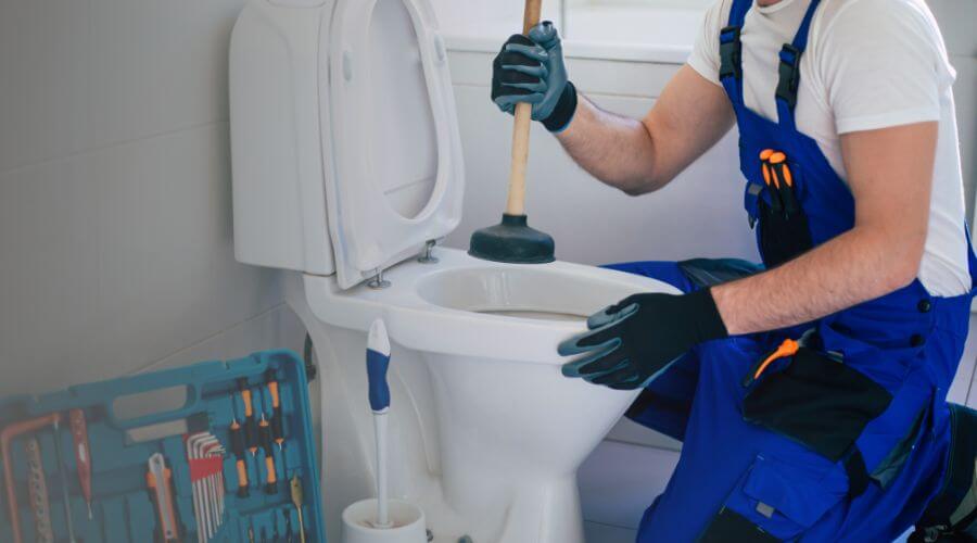 Local annual plumbing maintenance in Happy Jack, AZ